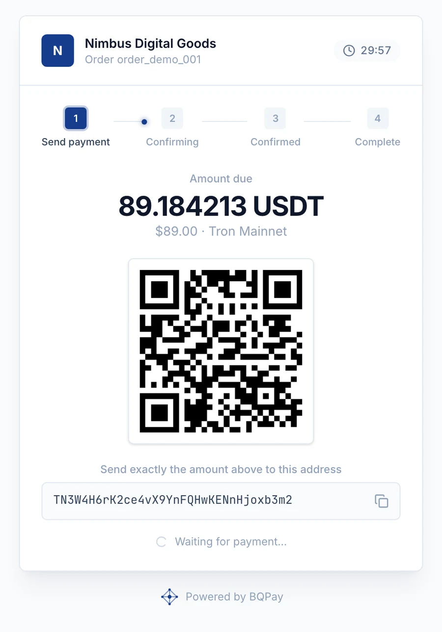 The Payaries hosted checkout page showing a deposit address, QR code and live payment status, with representative demo data
